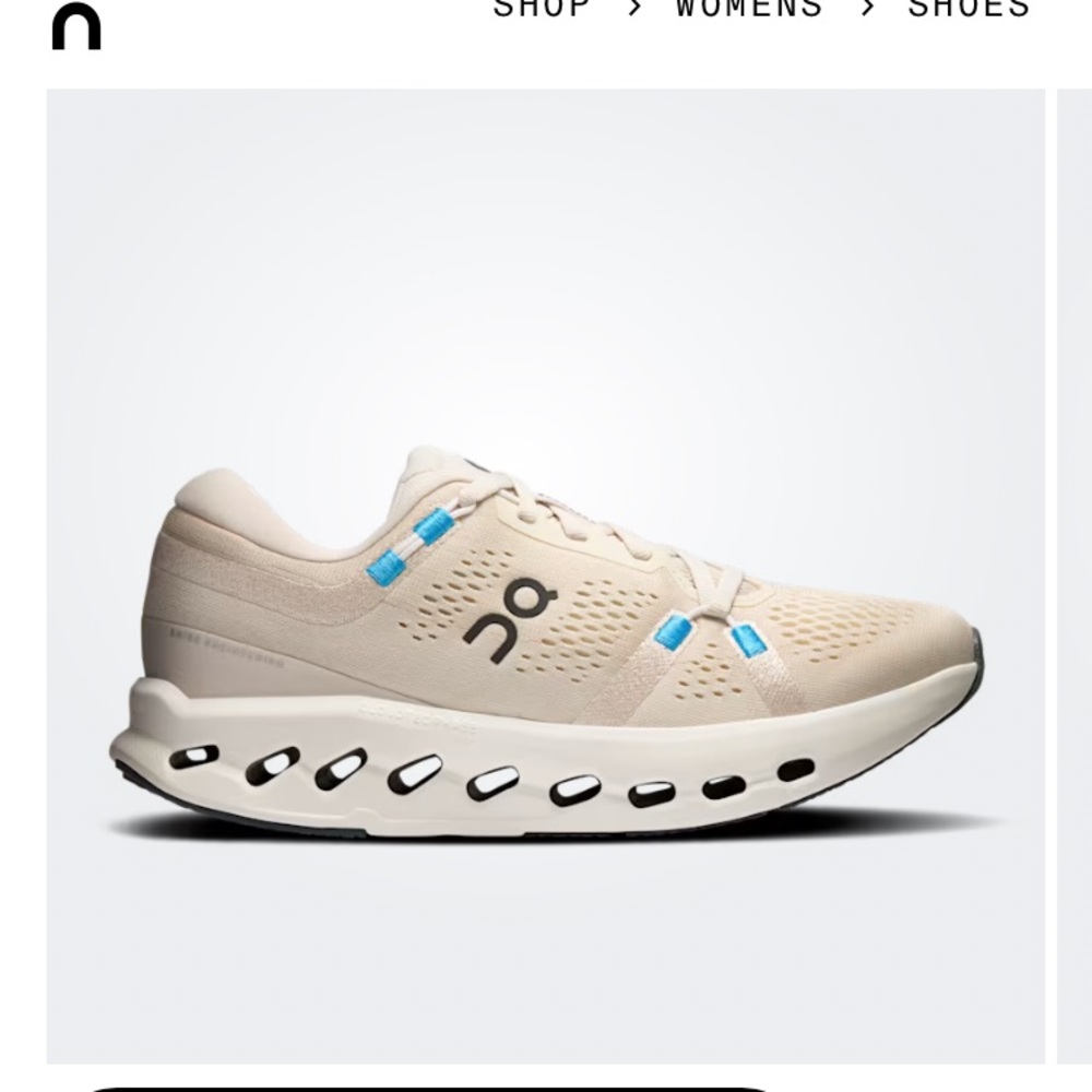 on cloudsurfer 2 sneakers